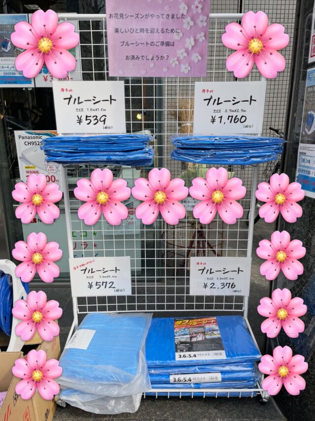 いらっしゃいませ🔩
クギセイです！

桜も🌸
今週末あたり満開になりそうですね😊

お花見や行楽シーズンに向けて、
**店舗の外にブルーシートを並べました！**✨

レジャーやお花見はもちろん、
現場や荷物の養生、急な雨対策にも使える
何かと便利な定番アイテムです👌

「ちょうど欲しかった！」
という方は、ぜひこの機会に😊

桜の季節の準備に🌸
ご来店お待ちしております！

#杉並区 #高円寺
#新高円寺 #金物
#ブルーシート
